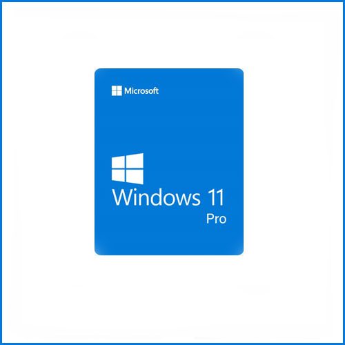 Phần mềm Win Pro 11 64Bit Eng Intl 1pk (Key)